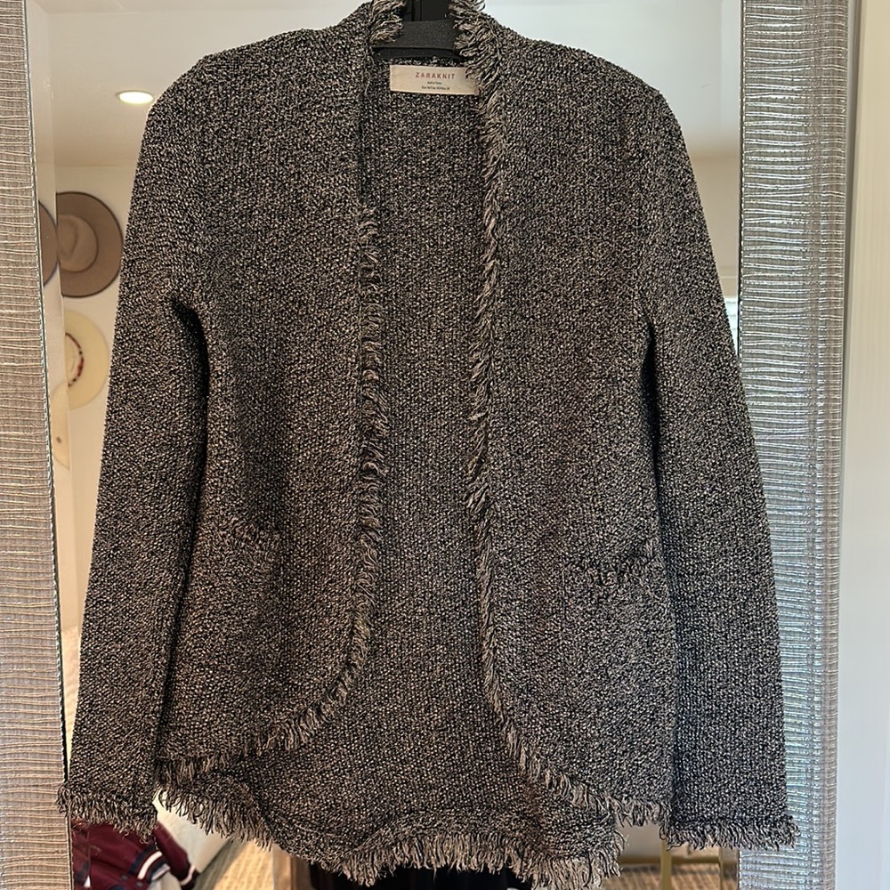 Zara metallic blazer